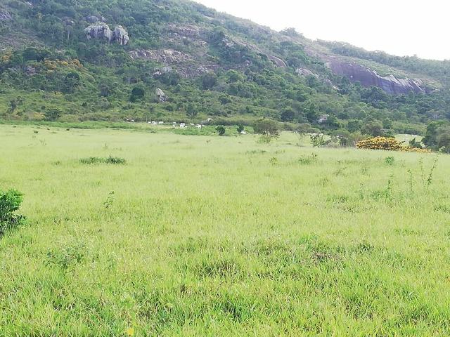 Fazenda de 945 hectares em Minas Gerais - Foto 11