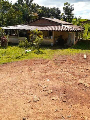 Venda fazenda 20 alqueires localizada 5 km da vila Paulo fonteles - Foto 2