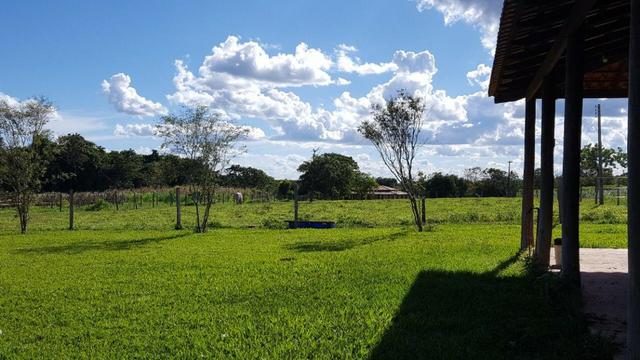 Ótima fazenda colado no Gama, a 27km - Foto 8