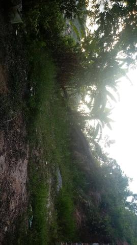 Troca se chácara - Foto 5