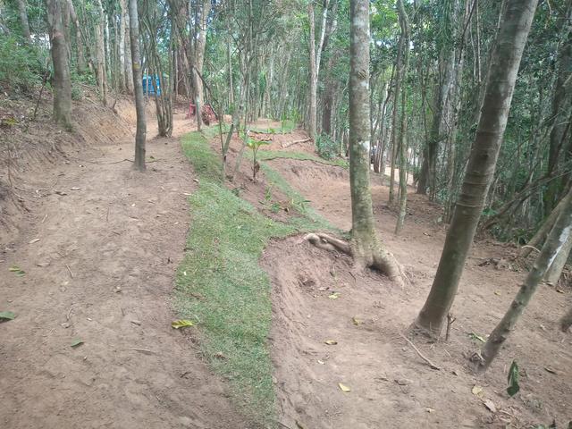 Lindo Terreno em meio à Natureza no bairro Fazenda - Foto 8