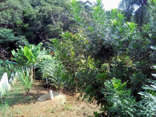 Vendo uma bela casa em local muito agradável pra quem gosta de tranquilidade. - Foto 12
