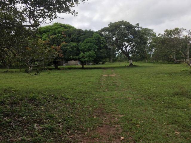 Chácara à venda em Zona rural, Cuiaba cod:21135 - Foto 6