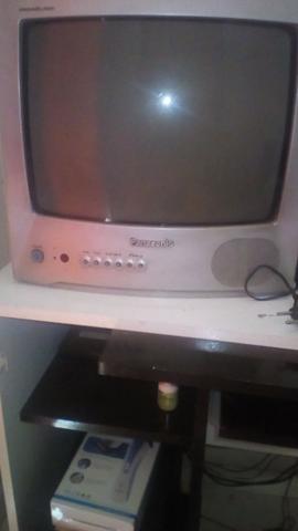 Tv Panasonic 14 de tubo 300,00