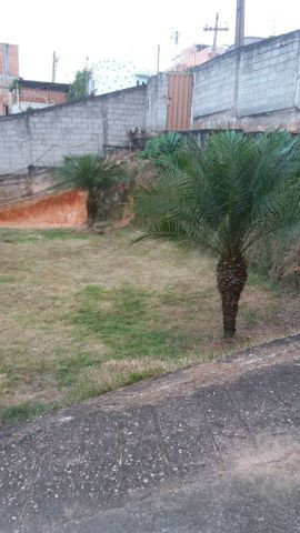 Casa no Arcadia - Foto 12