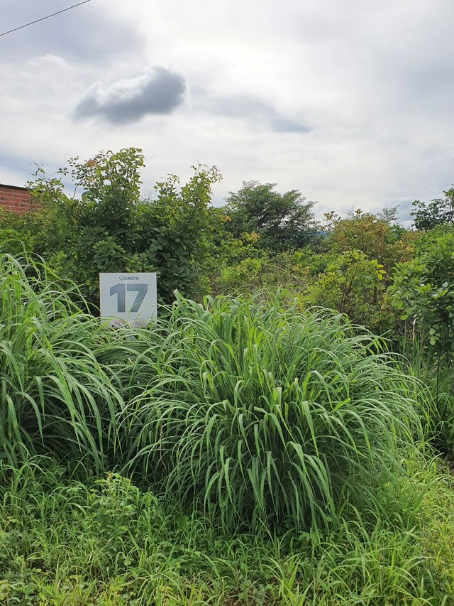 Terreno Parque do Sol - Foto 5