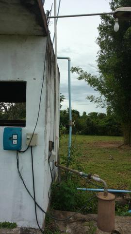 Arrendamento, Aluguel ou Venda de Chacara Estrada da Guia km14 Hidroponia, Confinamento - Foto 8