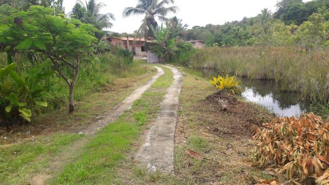 Sitio em Lençois - Foto 17