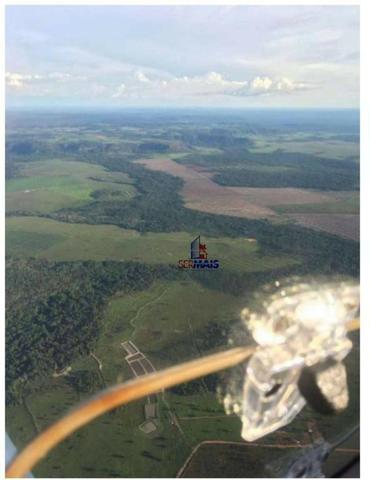 Belíssima fazenda a venda na divisa de Rondônia com o estado de mato grosso - Foto 5