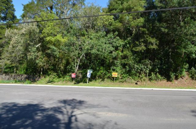 Terreno à venda, 785 m² por r$ 700.000,00 - mato queimado - gramado/rs - Foto 2