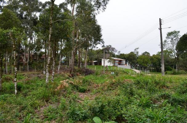 Terreno residencial à venda, casa grande, gramado. - Foto 8