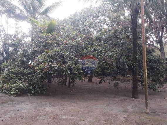 Sítio rural à venda, Juca Rosa, Eunápolis - SI0001. - Foto 12