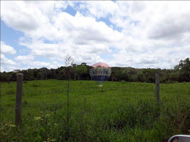 Fazenda à venda em Porto Seguro (Vera Cruz), Bahia - Foto 17