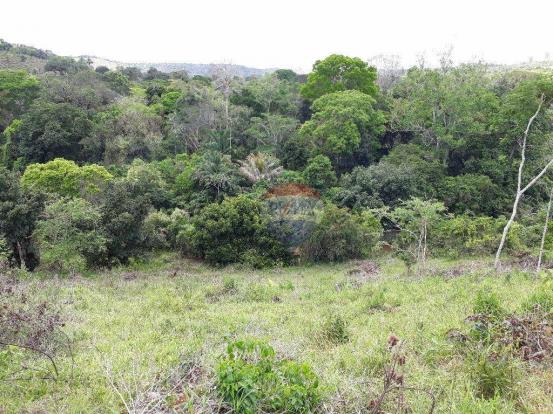 Fazenda à venda em Porto Seguro (Vera Cruz), Bahia - Foto 20