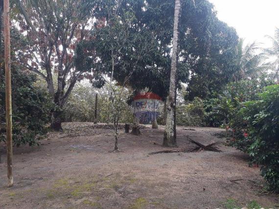 Sítio rural à venda, Juca Rosa, Eunápolis - SI0001. - Foto 11