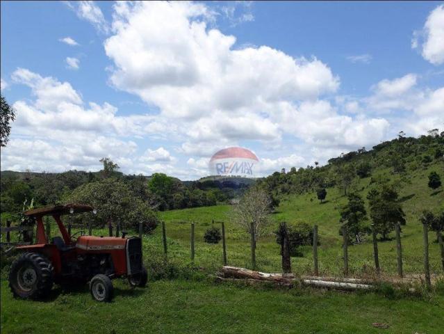 Fazenda à venda em Porto Seguro (Vera Cruz), Bahia - Foto 12