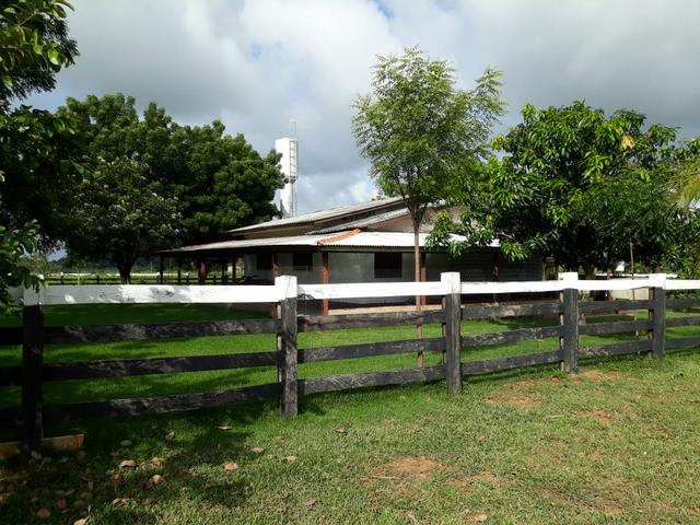 Fazenda em Santo Antônio á venda