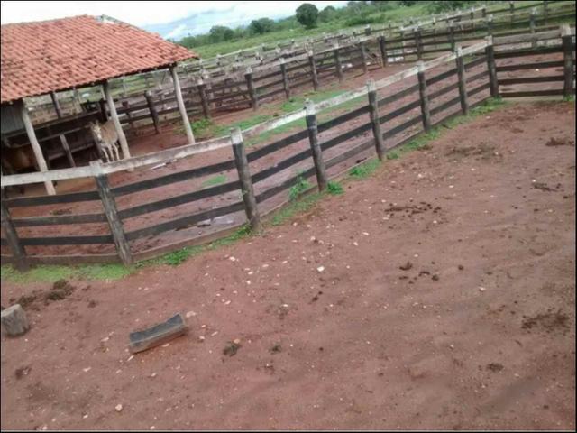 Fazenda em Cáceres 2.627 hectares á venda - Foto 6