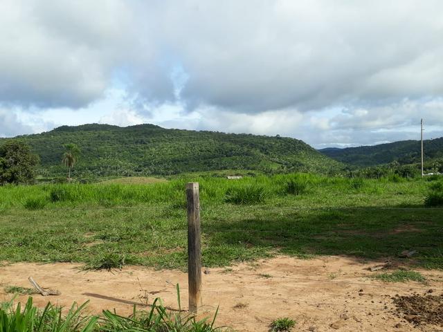 Fazenda em Santo Antônio á venda - Foto 9