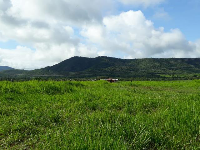 Fazenda em Santo Antônio á venda - Foto 20