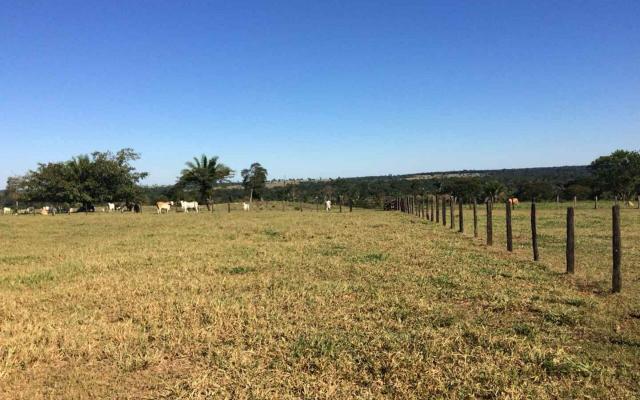 Fazenda em Nova Olímpia MT 550 hectares
