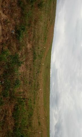 Lotes - Foto 6