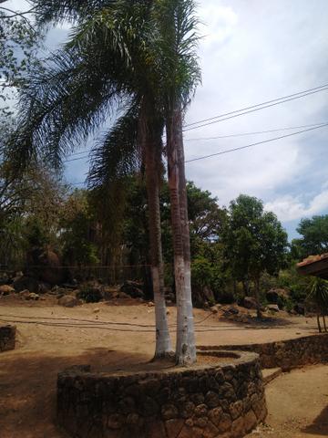 Nada melhor para sua família ! - Foto 3