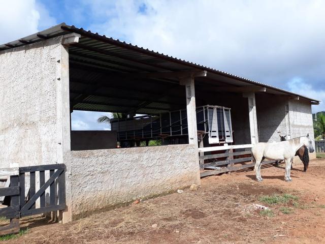 Fazenda em Santo Antônio á venda - Foto 3