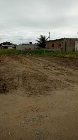 Lote - Foto 2
