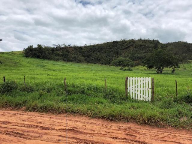 Fazenda Rio Branco - Foto 20