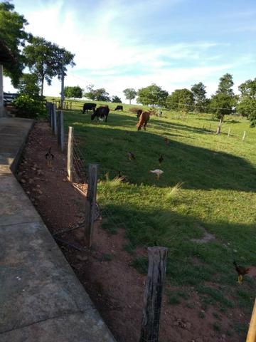 Chácara em Itapirapuã - Foto 2