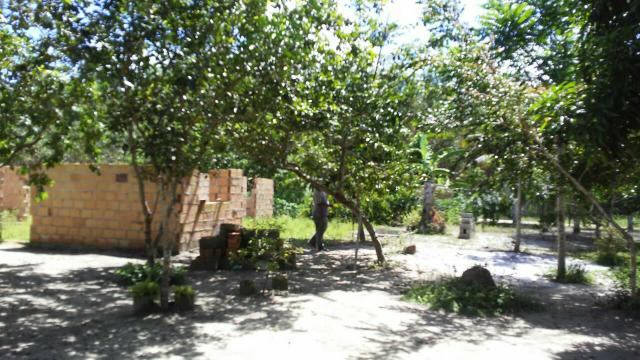 Sitio - Foto 4