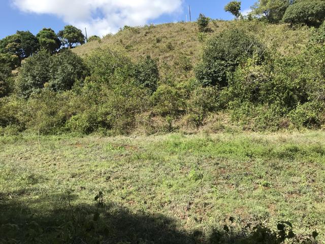 Sítio em Barreiros - Foto 3