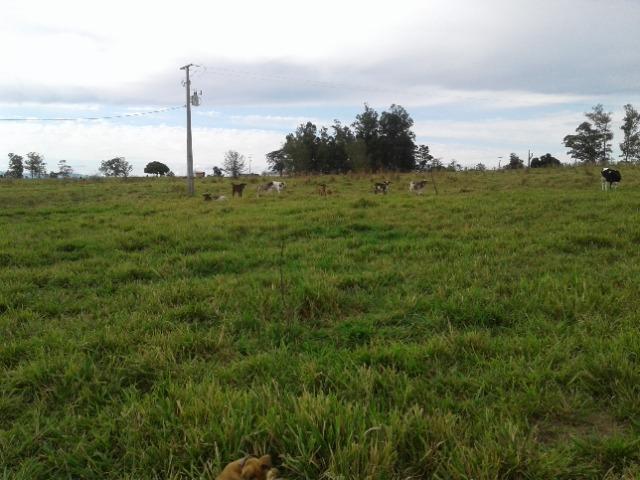 Fazenda de 51 alqueires - Foto 13