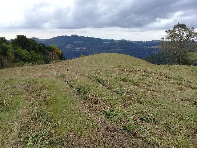 Área de terrras em Cotiporã com 15,9 hectares - Foto 2