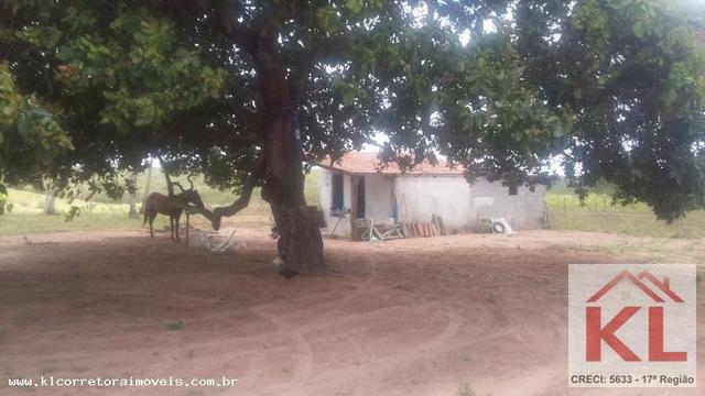 Grande oportunidade, fazenda com 37 hectares, casa sede, em Ielmo Marinho - Foto 3