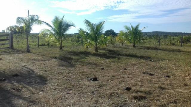 Vendo Sitio / Chácara 72 hectares, Pecuária ou lavoura, Casa, energia, Agua, Nobres