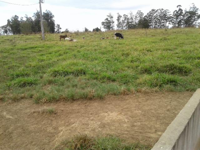 Fazenda de 51 alqueires - Foto 17