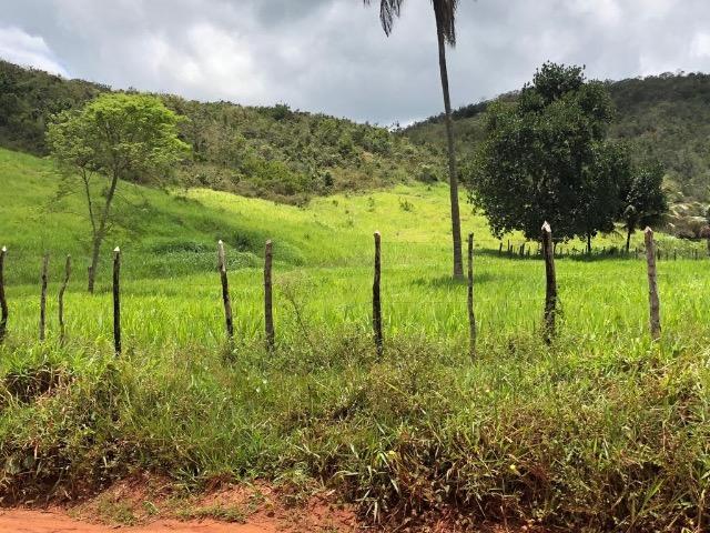 Fazenda Rio Branco - Foto 12