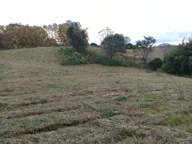 Área de terrras em Cotiporã com 15,9 hectares - Foto 4