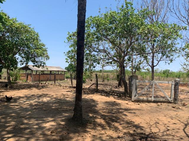 Vendo Sitio / Chácara 72 hectares, Pecuária ou lavoura, Casa, energia, Agua, Nobres - Foto 11