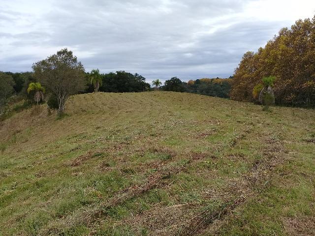 Área de terrras em Cotiporã com 15,9 hectares