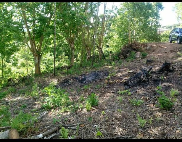 Terreno no Vale dos Vinhedos - Foto 6