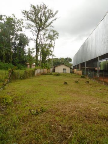 Terreno para alugar em America, Joinville cod:05753.004 - Foto 5