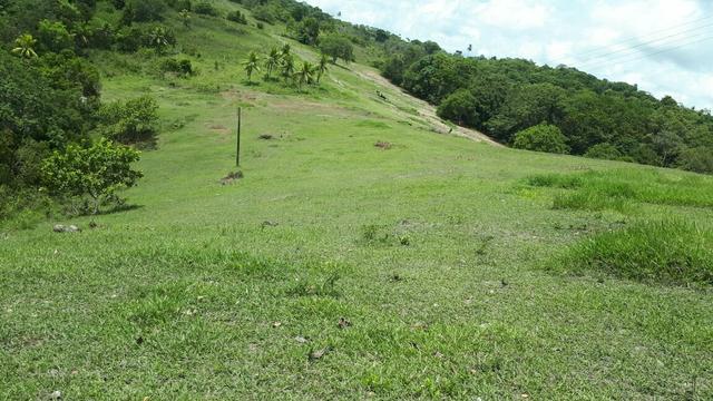 Sítio com 11.67 hectares em Igarassu/PE