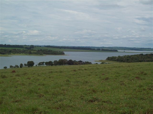 Sítio 2 alqueires Represa Capivara - Foto 4