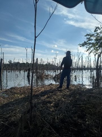 Vendo sitio no lago da samuel 50 mil