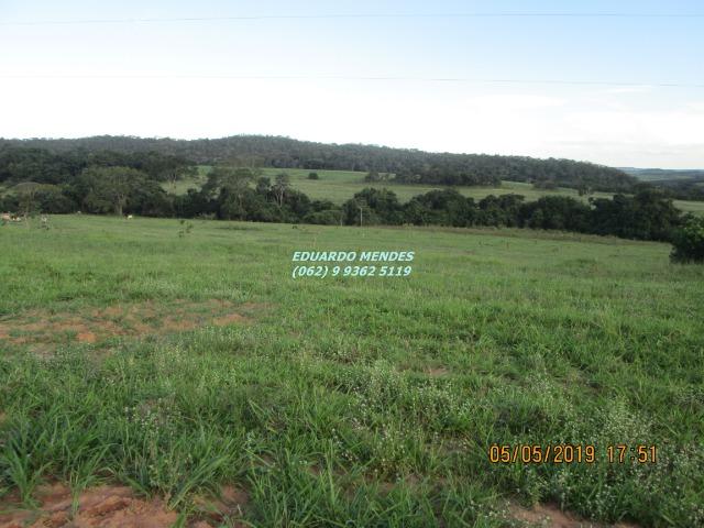 Chácara de lazer c/ água a 1 km de Gameleira de Goiás - Foto 6