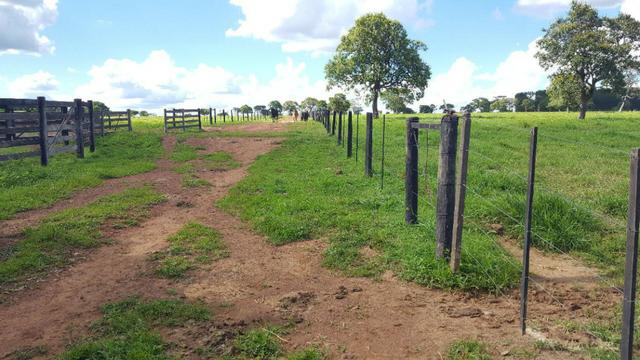 JP 012 - Ótima fazenda colado no Gama, a 27km - Foto 9