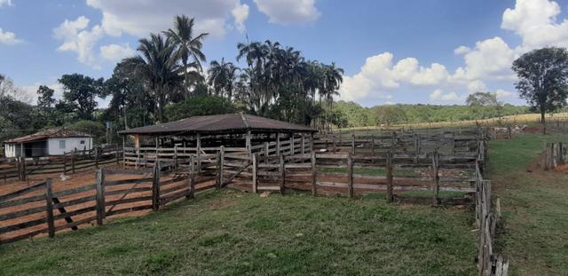 Fazenda 38 Alqueires em Bela Vista - Foto 6